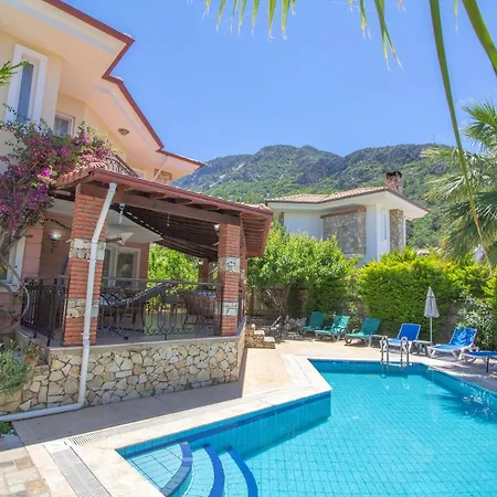 ヴィラ Kelebek Villa, Oezel Havuzlu, フェティエ