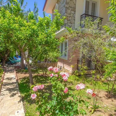 别墅 Kelebek Villa, Oezel Havuzlu, 费特希耶